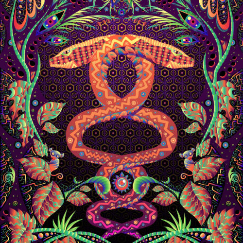 Jungle Snakes - DJ-Booth - Art by Andrei Verner - Closeup