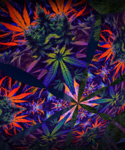 HH-DM01 - 6 Diamonds Canopy Set - UV-Reactive Flurescent Ceiling Decoration - 3D-Preview