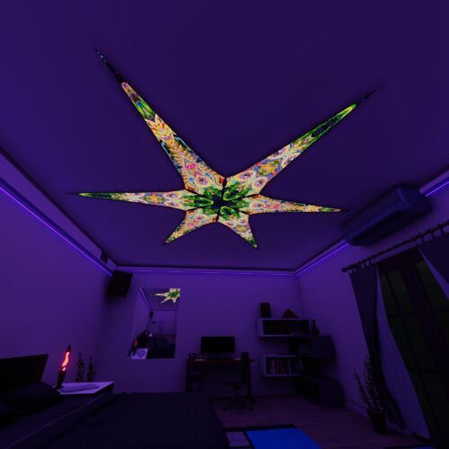 BR-DMT-Fish and BR-Mind-Tunnel – 6 Petals Canopy Set - UV-Reactive Flurescent Ceiling Decoration - 3D-Preview