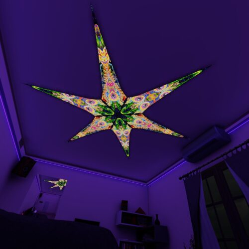 BR-DMT-Fish and BR-Mind-Tunnel – 6 Petals Canopy Set - UV-Reactive Flurescent Ceiling Decoration - 3D-Preview