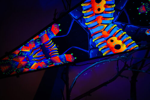 VN-Spine – 6 Petals Canopy Set - UV-Reactive Flurescent Ceiling Decoration - 3D-Preview