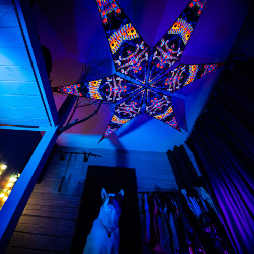 VN-Spine – 6 Petals Canopy Set - UV-Reactive Flurescent Ceiling Decoration - 3D-Preview