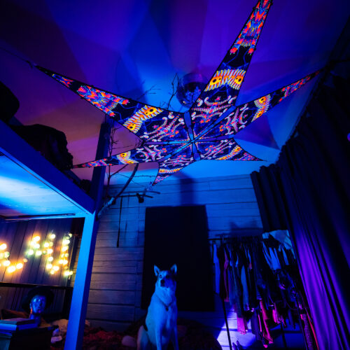 VN-Spine – 6 Petals Canopy Set - UV-Reactive Flurescent Ceiling Decoration - 3D-Preview