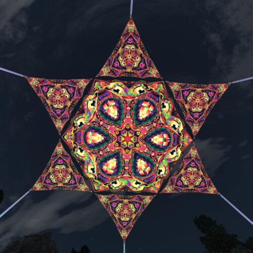 Fungal Rift - FR-HX03 and FR-TR02 - 1 UV-Hexagon and 6 UV-Triangles Canopy - 3D-Preview