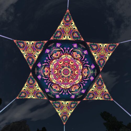 Fungal Rift - FR-HX04 and FR-TR03 - 1 UV-Hexagon and 6 UV-Triangles Canopy - 3D-Preview