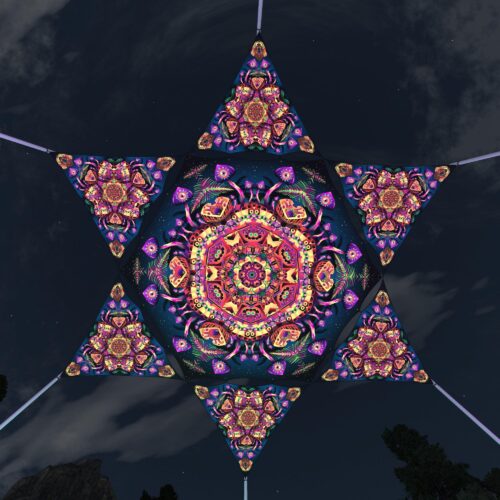 Fungal Rift - FR-HX04 and FR-TR04 - 1 UV-Hexagon and 6 UV-Triangles Canopy - 3D-Preview