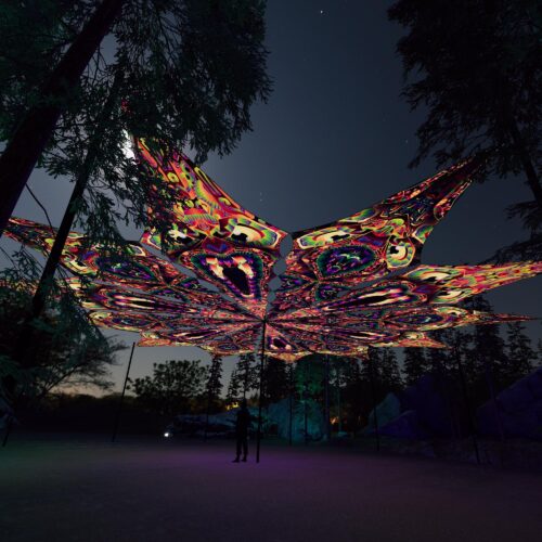 Fungal Rift - FR-PT01 and FR-PT02 - 12 UV-Petals Psychedelic Canopy - 3D-Preview