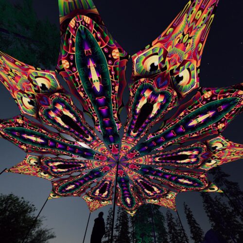 Fungal Rift - FR-PT03 and FR-PT01 - 12 UV-Petals Psychedelic Canopy - 3D-Preview