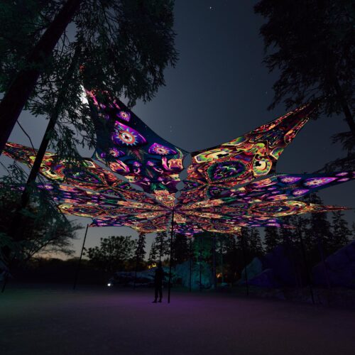 Fungal Rift - FR-PT04 and FR-PT02 - 12 UV-Petals Psychedelic Canopy - 3D-Preview