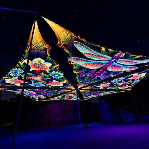 Wings of Harmony Drop - 6 Triangles Set - Dragonfly and Lilies - 3D Render Preview