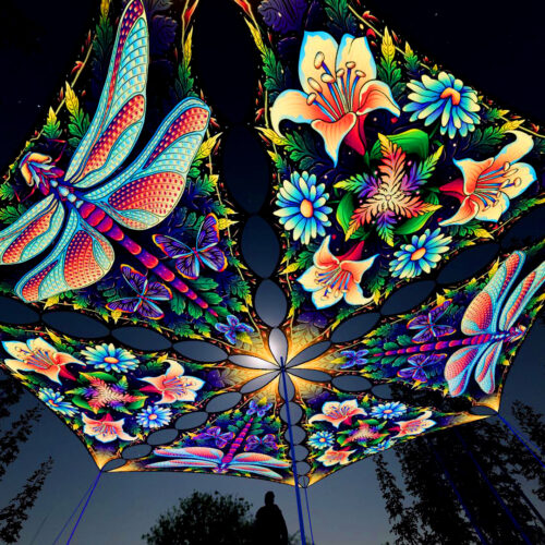 Wings of Harmony Drop - 6 Triangles Set - Dragonfly and Lilies - 3D Render Preview