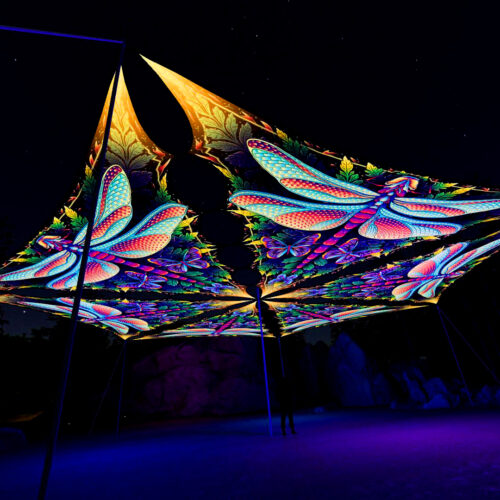 Wings of Harmony Drop - 6 Triangles Set - Dragonfly - 3D Render Preview