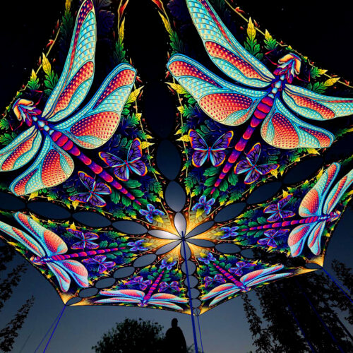 Wings of Harmony Drop - 6 Triangles Set - Dragonfly - 3D Render Preview